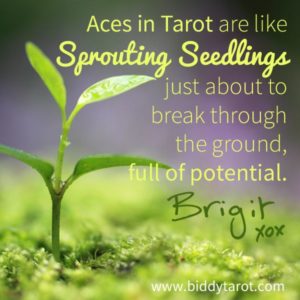 Manifesting the Pure Potential of the Aces in Your Life