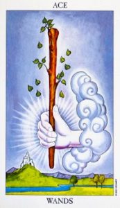 ace_wands